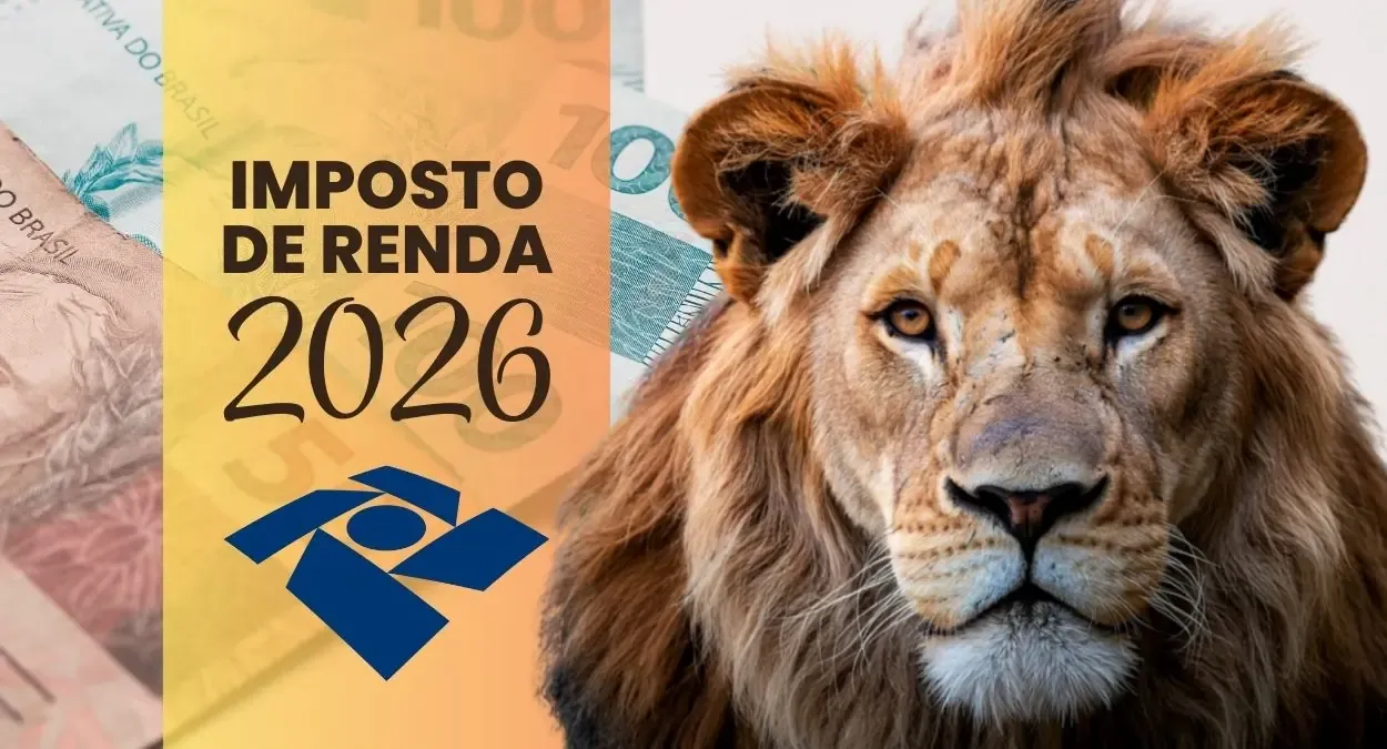 Imposto de Renda 2026: Guia Completo para Psicólogas